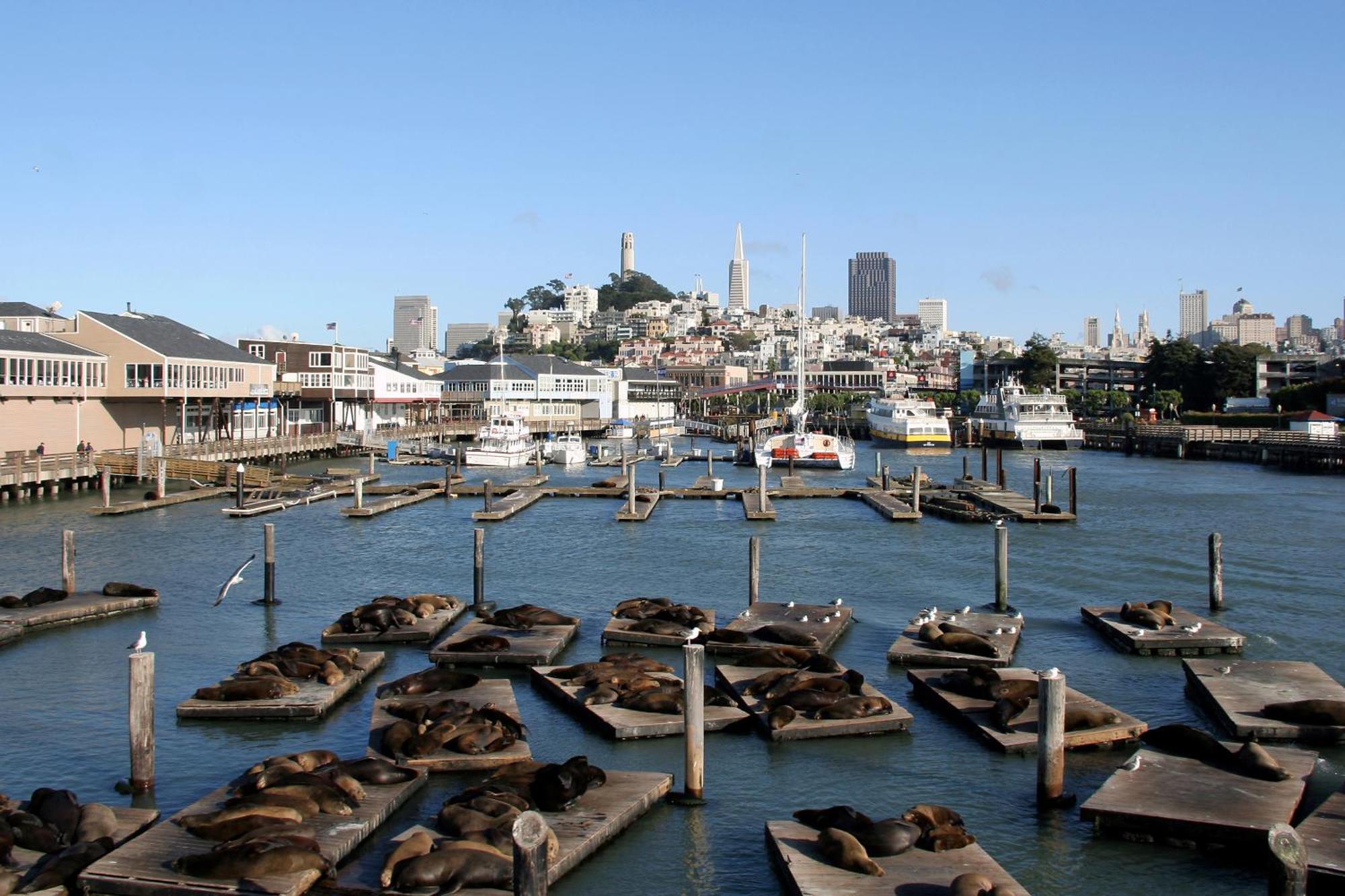 Hotel Zoe Fisherman'S Wharf San Francisco Dış mekan fotoğraf